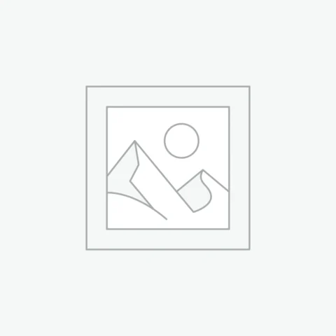 Digital Study Guide